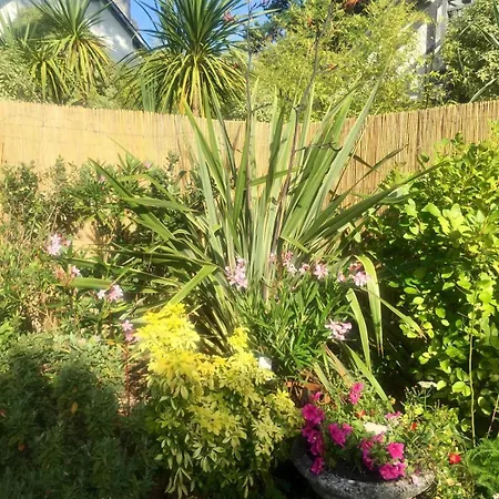 Bauloise D'exception Benoit *