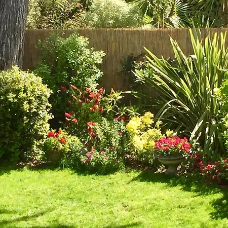 فيلة Bauloise D'exception Benoit