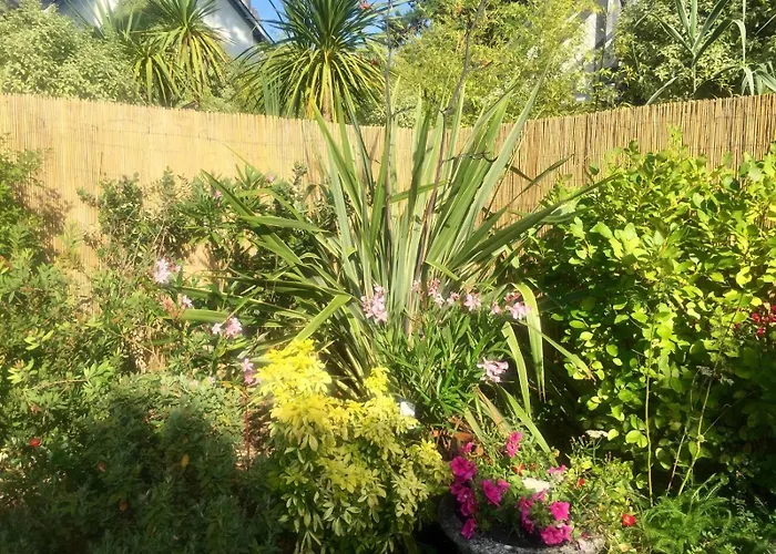 Bauloise D'exception Benoit *