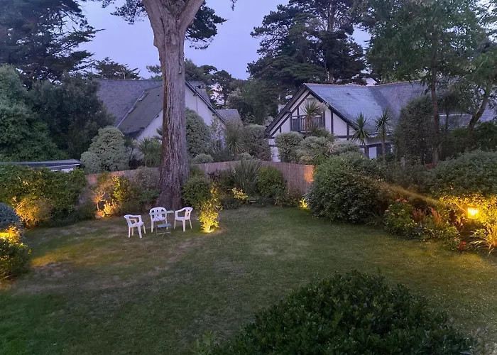 Bauloise D'exception Benoit فيلة *